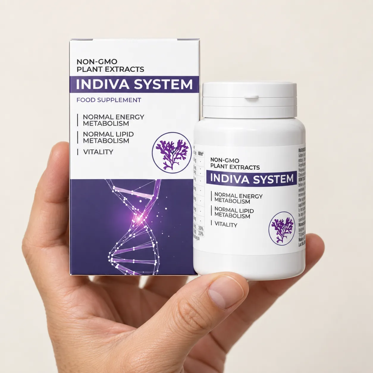 INDIVA SYSTEM — Verpackung in der Hand